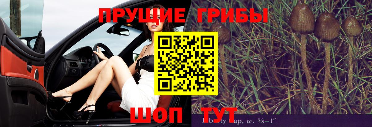 Галлюциногенные грибы прущие грибы Междуреченск